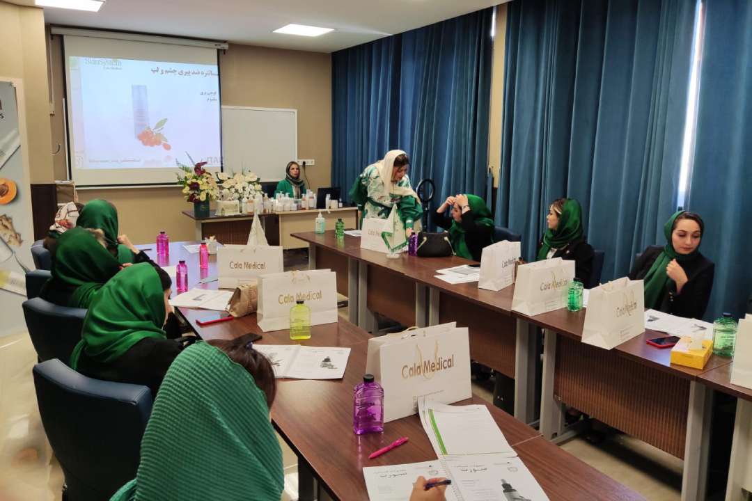 ورکشاپ خرداد 1401 اسکین سیستم خانم زارع